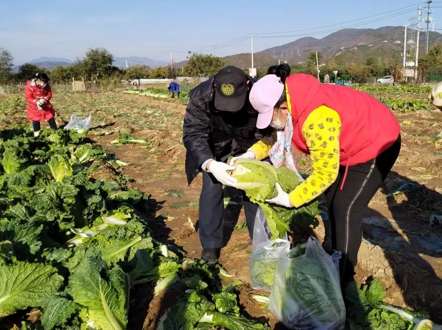 生活乐趣_大乐趣生活小技巧_生活乐趣语录心情说说