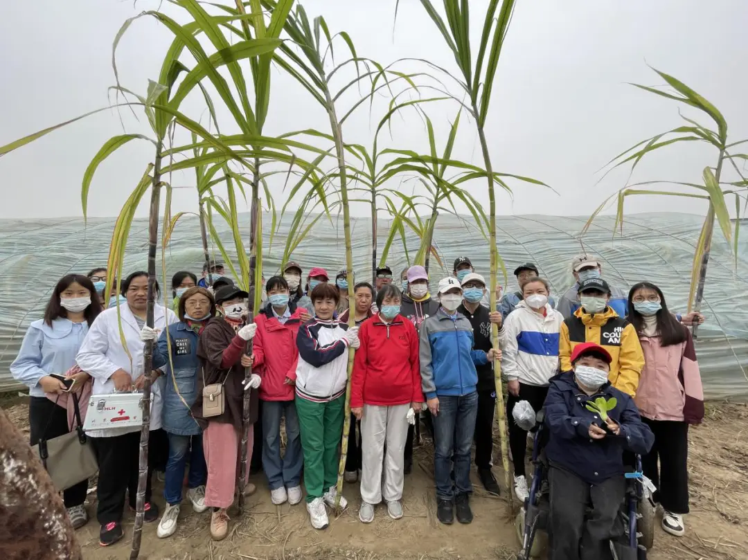 生活乐趣语录心情说说_生活乐趣_大乐趣生活小技巧