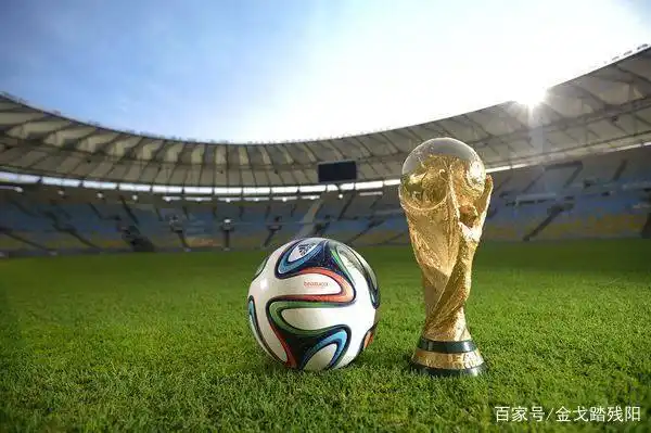 世界杯足球赛上届冠军队_去年足球杯世界冠军_上届足球杯冠军是谁